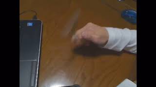 自由試合