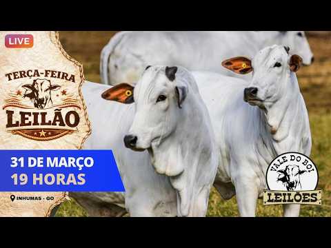 VALE DO BOI LEILOES - INHUMAS GO  - LEILAO VIRTUAL E PRESENCIAL -  31/03/ 2026