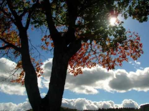 O Come Angel Band by Teresa