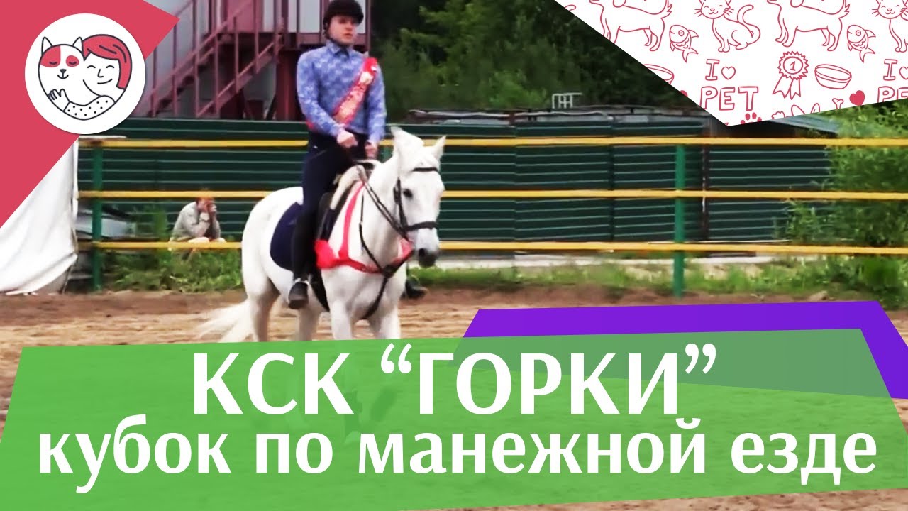 Летний кубок КСК Горки по манежной езде КЮР часть 3 на ilikepet