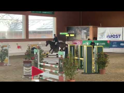 Landbeschäler Van Cordoba erfolgreich auf Gut Winkelacker