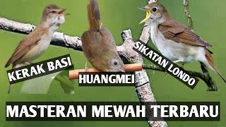 Download lagu masteran mewah terbaru Huang mei kerak basi sikatan Londo buat masteran murai trotol mp3 Download lagu masteran mewah terbaru Huang mei kerak basi sikatan Londo buat masteran murai trotol mp3
