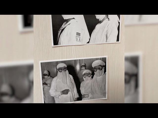 «История эпидемий»