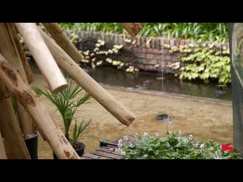 Biennale Architettura 2023 - Hood Design Studio