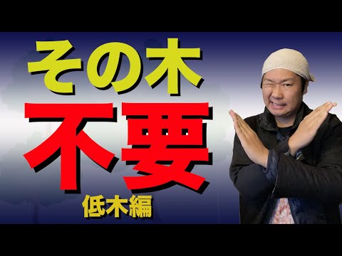 庭の知識: 亜低木とは何ですか? 庭の練習