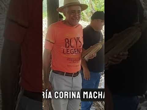 📍 Municipio Andrés Mata, Los TequesLa iniciativa privada demuestra que Venezuela sí puede