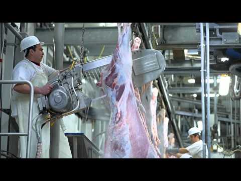 Industrija mesa Matijevic | Matijević