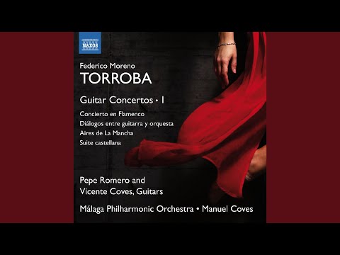 Aires de La Mancha: No. 1. Jeringonza