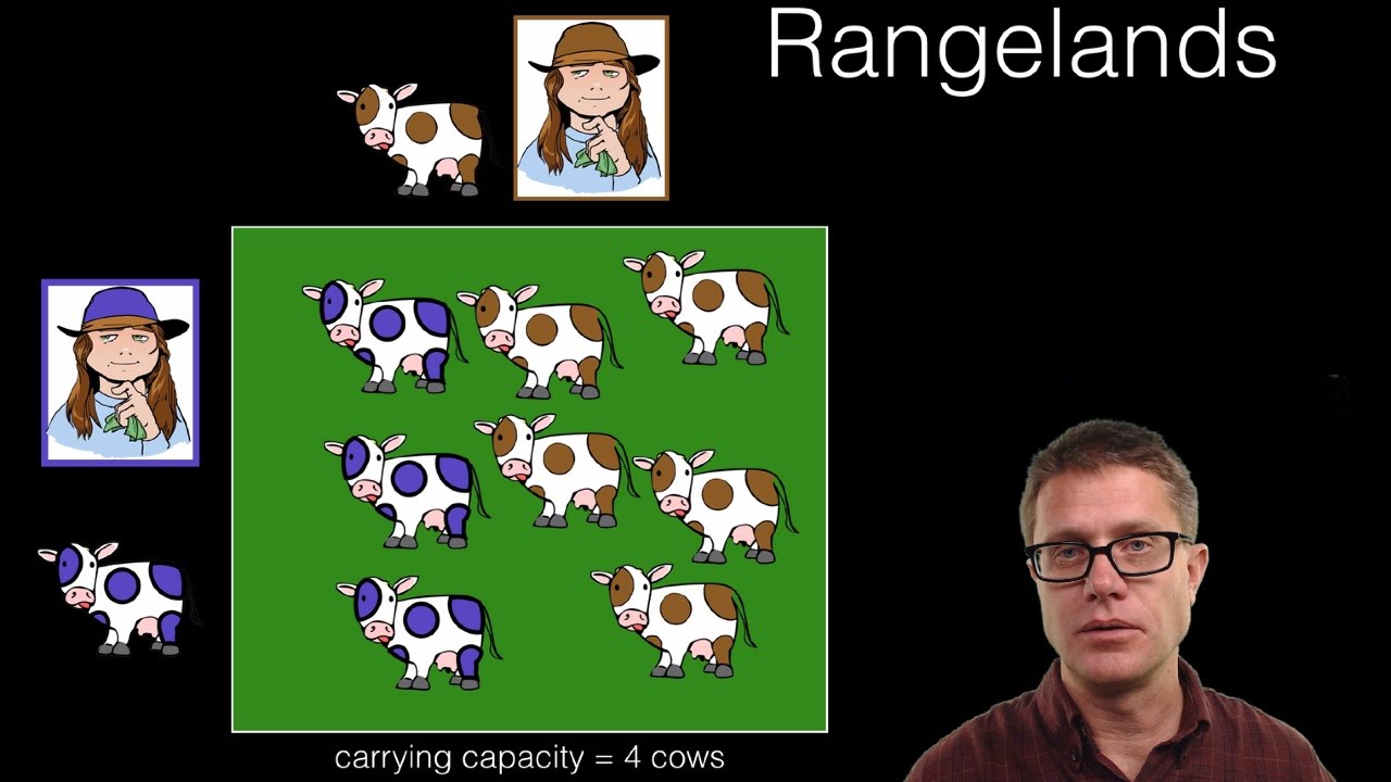 Forestry and Rangelands