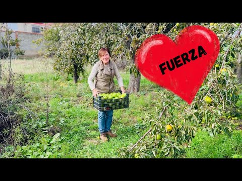 Entrenamiento de fuerza