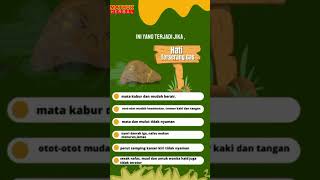 Download lagu Selesaikan semua keluhan Asam Lambung dg Herbal Terbaik mp3