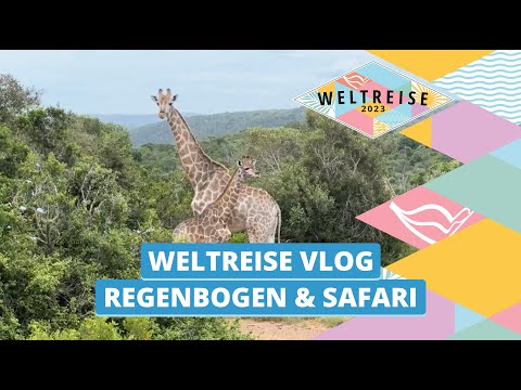 AIDAsol Weltreise Vlog 5 | Regenbogen & Safari