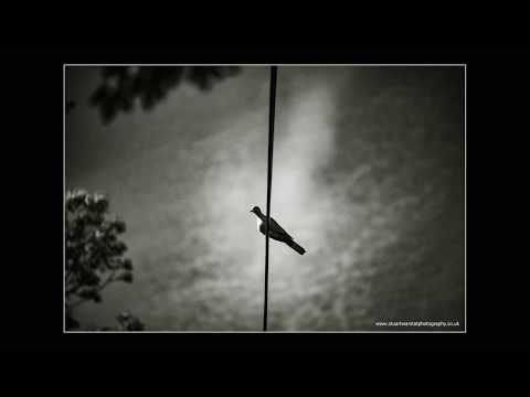 Minehead Street Photography