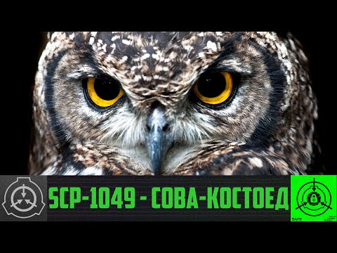 SCP-1049 - Сова-костоед     【СТАРАЯ ОЗВУЧКА】