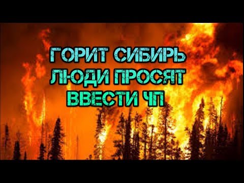 Горит Сибирь. Пожар в Сибири. Горит Якутия. Горит Красноярский край. Горит Алтайский край. Пожар РФ.