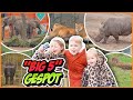 DE GEVAARLiJKE BiG 5 ZOEKEN iN SAFARi PARK ? ( Beekse Bergen) | Bellinga Vlog #2731