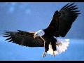 Fly Like An Eagle - The River Boys 