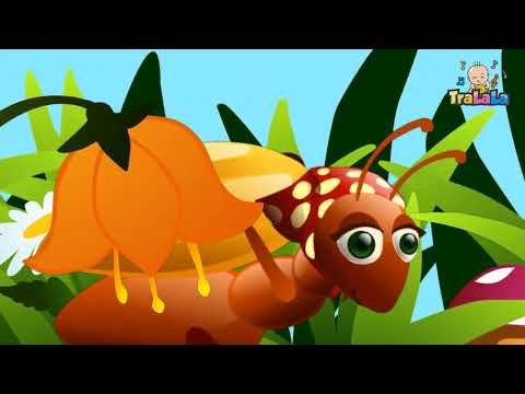 O furnică duce-n spate + Degetele - Cantecele Copii de la TraLaLa
