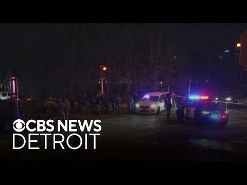 ICE officer shoots man in leg in Minneapolis after shovel attack, officials say