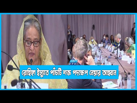 রোহিঙ্গা ইস্যুতে বিশ্বনেতাদের পাঁচটি শক্ত পদক্ষেপ নেয়ার আহ্বান প্রধানমন্ত্রীর