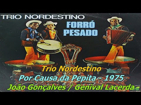 Por Causa Da Pepita - Trio Nordestino