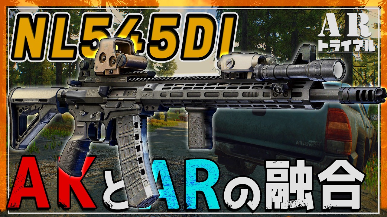 【EFT】AKの次の形 スリムボディーのNL545DI こいつが意外と...【ゆっくり実況】