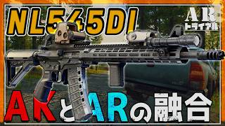 【EFT】AKの次の形 スリムボディーのNL545DI こいつが意外と...【ゆっくり実況】