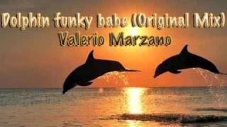 Dolphin funky Babe (Original mix) - Valerio Marzano