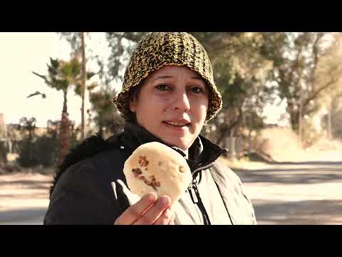 Zonda San Juan Argentina