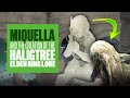 Elden Ring Lore: Miquella Explained