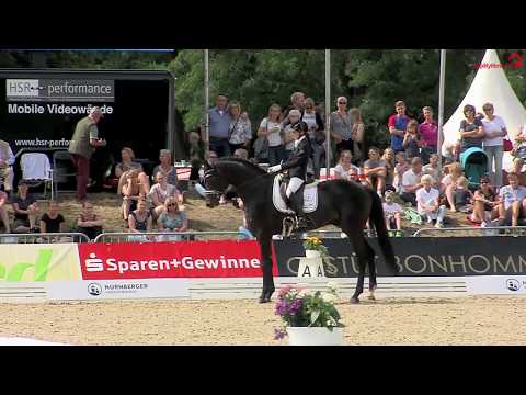 Gestüt Letter Berg Spökenkieker V. Sieg Hannoveraner Dressurpferde-Championat 2019
