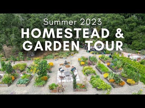 Summer Garden Tour and Homestead Update - July 2023