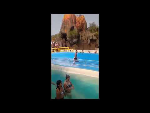 Running Man Water Slide Meme
