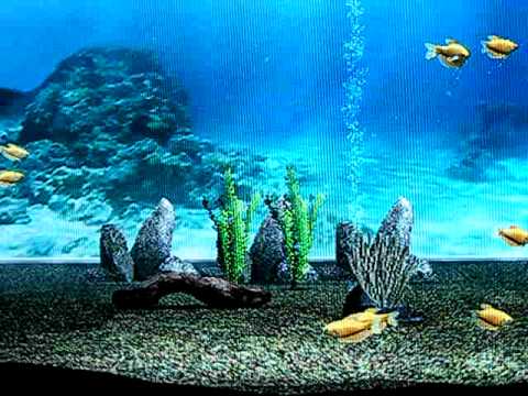 my aquarium wii unlock fish