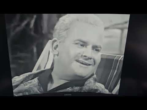 Hark At Barker - Phoebe Mckreebie Beebie