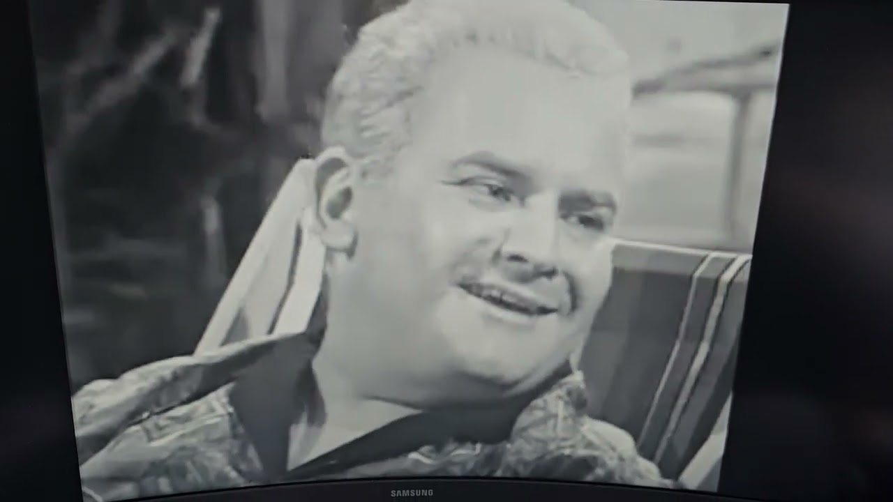 Hark At Barker - Phoebe Mckreebie Beebie