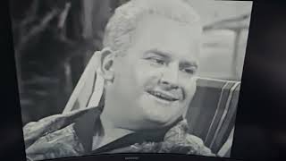 Hark At Barker - Phoebe Mckreebie Beebie