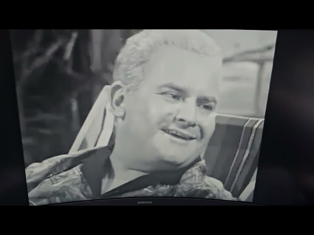 Hark At Barker - Phoebe Mckreebie Beebie