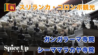 【スリランカ観光案内】コロンボ観光で絶対外せない2つの寺院