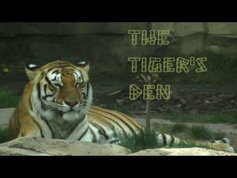 December 13th Power Trading Hour with David White on TFNN   2016