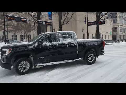 Snow Day, Brenden and Desmond, Greenville SC January 16, 2022