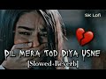 Dil Mera Tod Diya Usne Slowed Reverb SK Lofi Alka Yagnik Super Hit Song 90s