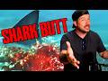 THRASH Movie Review
