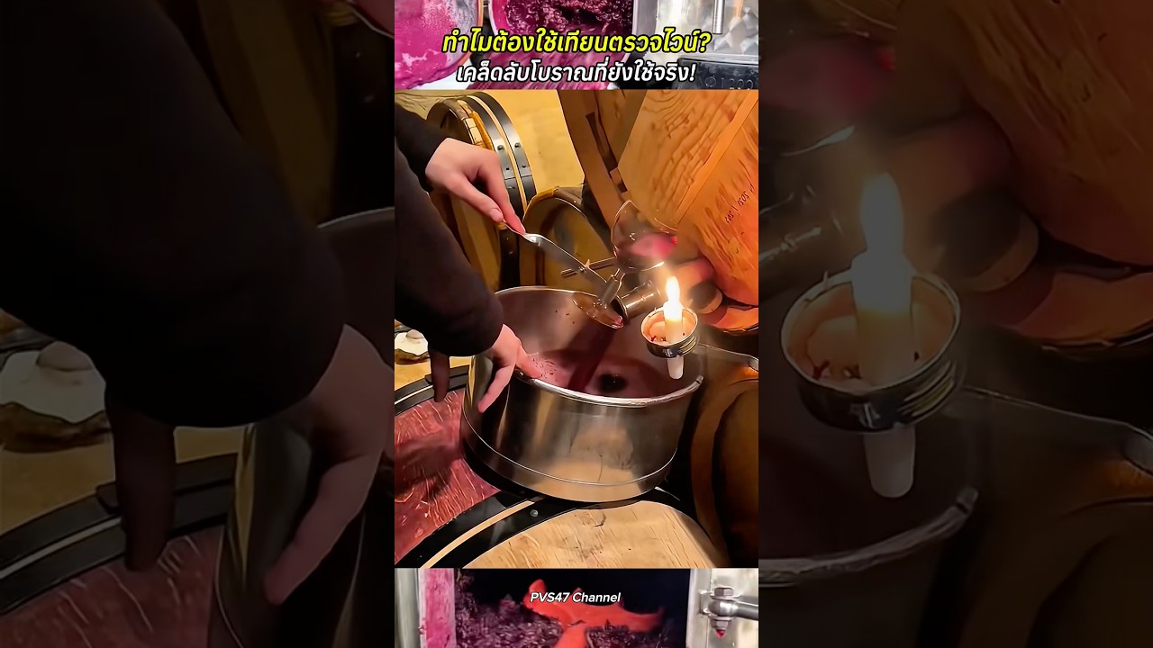 ทำไมต้องใช้เทียนตรวจไวน์? เคล็ดลับโบราณที่ยังใช้จริง! #สาระความรู้ #ไวน์แดง #ไวน์ #shortvideo