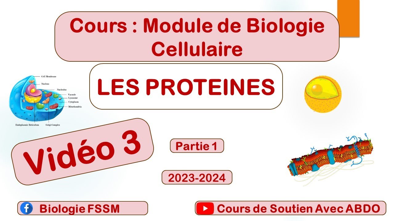 Chapitre 1 : CONSTITUANTS CHIMIQUES DE LA CELLULELES PROTEINES (Vidéo 3)