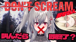 響咲リオナ - 【初さしコラボ！】笑虎とオフコラボでなんかやります！【ホロライブ DEV IS 響咲リオナ 虎金妃笑虎】