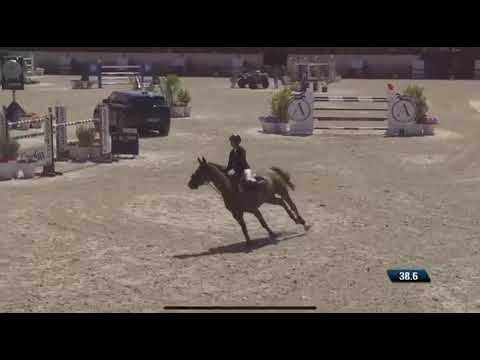 Crooner Tame - CSI4* Deauville - Août 2025