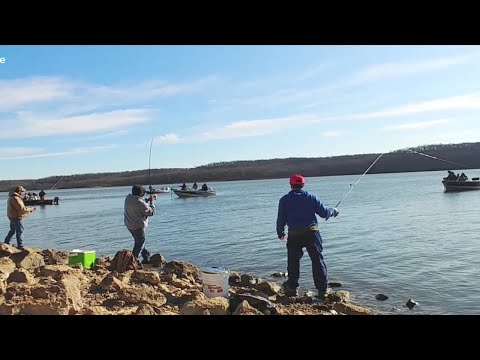 Lots of Boat Around While Crappie Fishing From Shore. EP 148