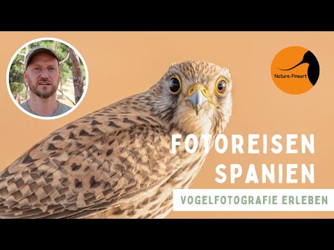 Fotoreisen Spanien | Vogelfotografie erleben mit Naturfotograf Christoph Bittenbinder
