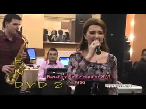 Revelion muzicanti 2012 9.mpg